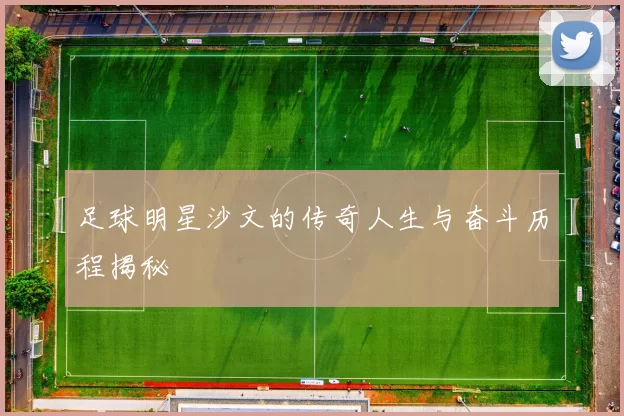足球明星沙文的传奇人生与奋斗历程揭秘