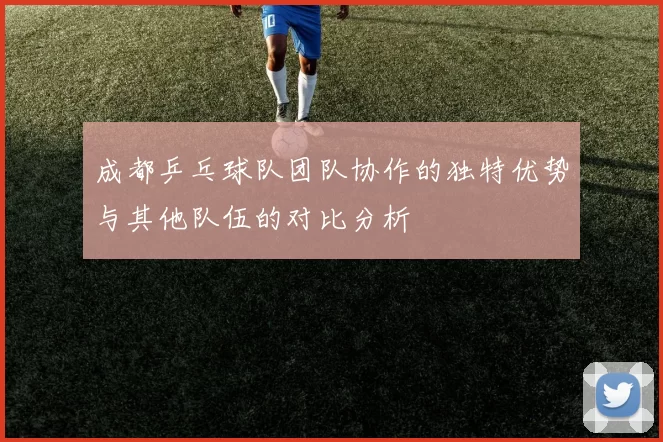 成都乒乓球队团队协作的独特优势与其他队伍的对比分析